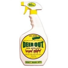 deerout-deer-repellent-spray-for-sale-utica-ny