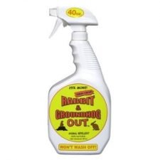 Rabbit Groundhog Out Repellent spray-Utica, NY