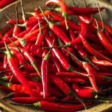 cayenne-long-red-thin-hot-pepper-plants-for-sale