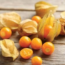 aunt-mollys-ground-cherry-plants-for-sale