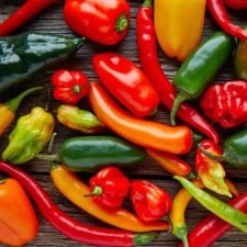 hot-pepper-plant-sampler-for-sale-utica-ny