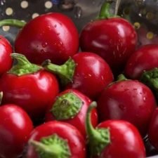 red-cherry-hot-pepper-plants-for-sale-utica-ny