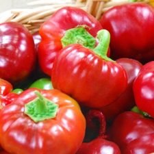 heirloom-sweet-red-cheese-pepper-plants-for-sale