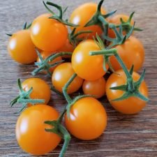 sun-sugar-cherry-tomato-plants-for-sale-near-utica-ny