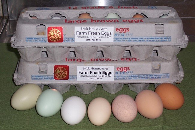 fresh-eggs-2 dozen-frankfort-ny