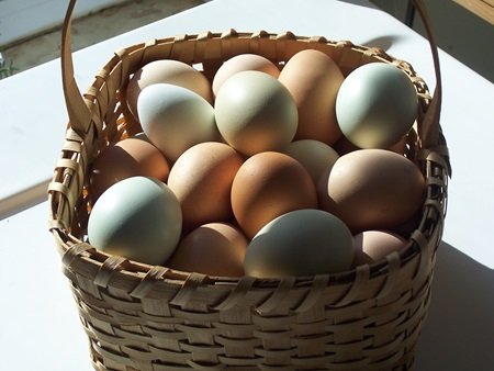 fresh eggs-for-sale-frankfort-ny-basket