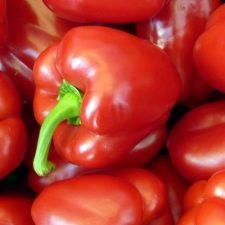 new-ace-red-bell-pepper-plants-for-sale-utica-ny