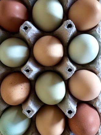 fresh-eggs-for-sale-rainbow-assortment