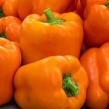 orange-sun-bell-pepper-plants-for-sale