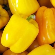 Early Sunsation-bell-pepper-plants-for-sale-utica-ny