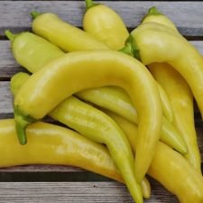 sweet-banana-pepper-plants-for-sale