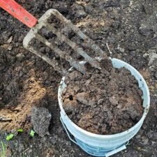 Aged-Chicken-Manure-for-Sale_dig your-own_Utica NY