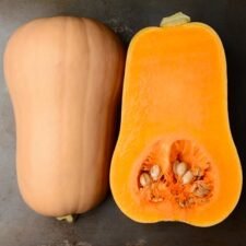 Waltham Butternut Squash plants for sale_Utica NY