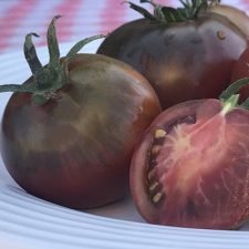 black-prince-tomato-plants-for-sale-utica-ny