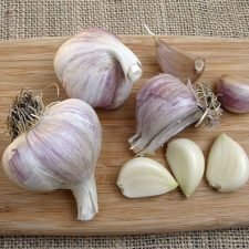 basic-garlic-kit-for-sale-Utica-NY